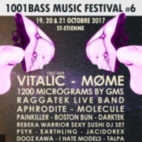 1001 Bass Music Festival
