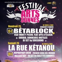 Festival Des Arts Sonnes