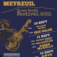 Blues Roots Festival