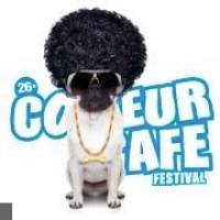 Couleur Cafe Festival
