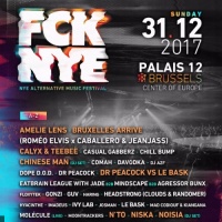 Fcknye Festival 2017 