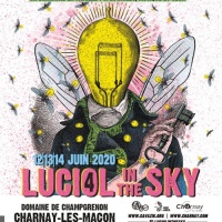 Festival Luciol In The Sky