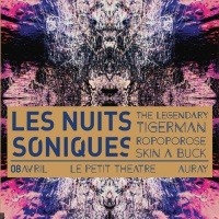 Festival Les Nuits Soniques