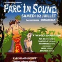 Festival Parc in Sound 3