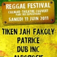 Reggae Festival (68)