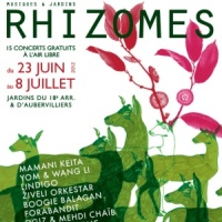 Festival Rhizomes