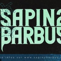 Festival Sapins Barbus