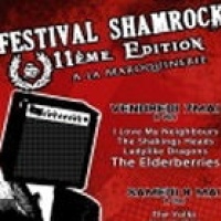 Festival Shamrock