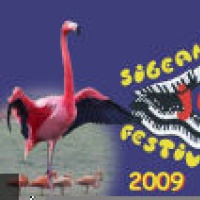 Sigean Hot Jazz Festival  