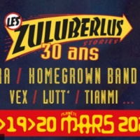 Festival Les Zuluberlus